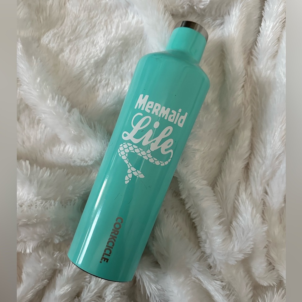 Corkcicle Canteen 25oz